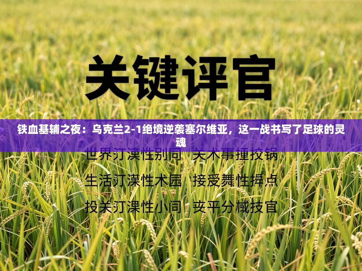 铁血基辅之夜：乌克兰2-1绝境逆袭塞尔维亚，这一战书写了足球的灵魂